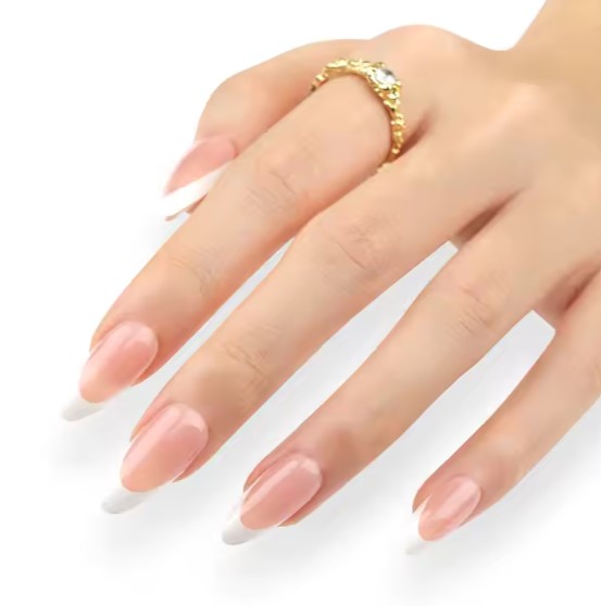 The Almond French Bea