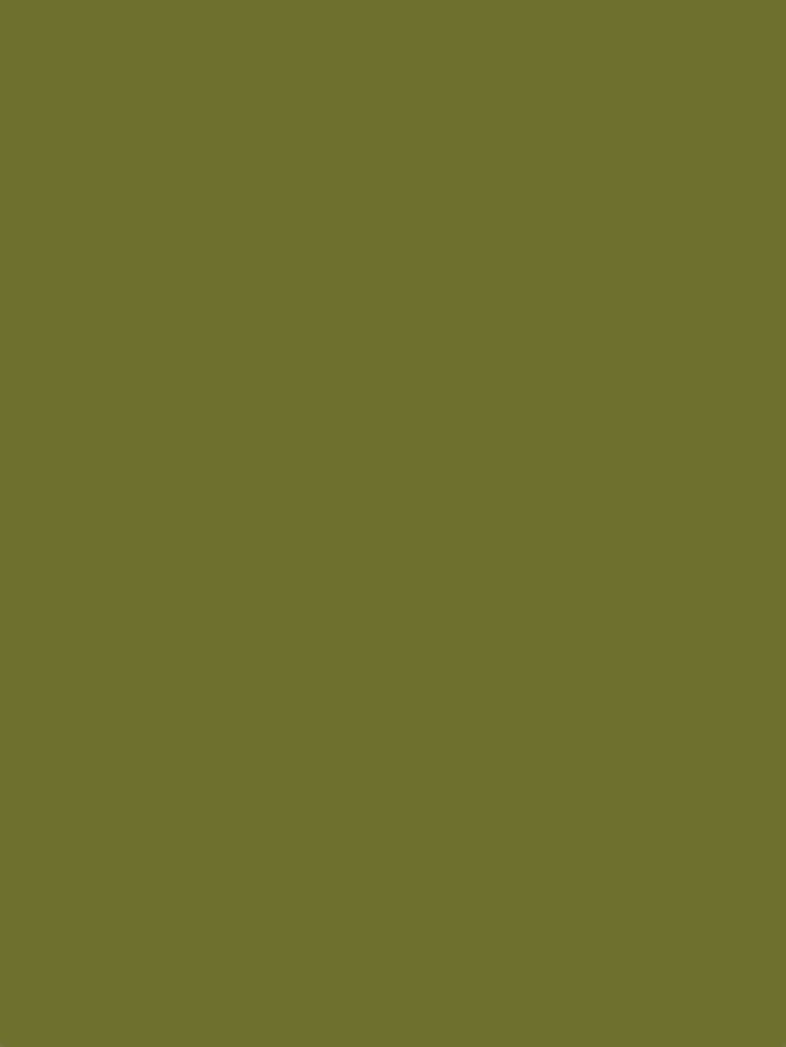 The Single Halal Varnish (Multiple Colours)