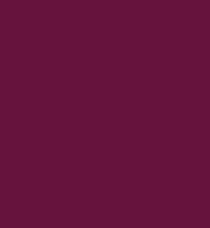 The Single Halal Varnish (Multiple Colours)